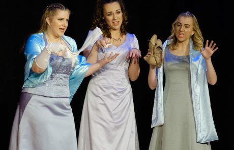 8 – Lady of Ridicule (Ball Scene) · Cinderella · Troupe 659