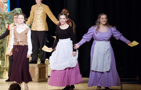9 – Lady of Ridicule · Cinderella · Troupe 659